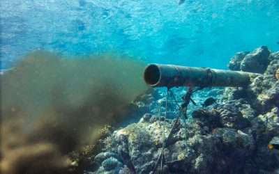 ARE CLEANING CHEMICALS HARMING OUR OCEANS?
