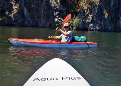 Green wheel cleaners