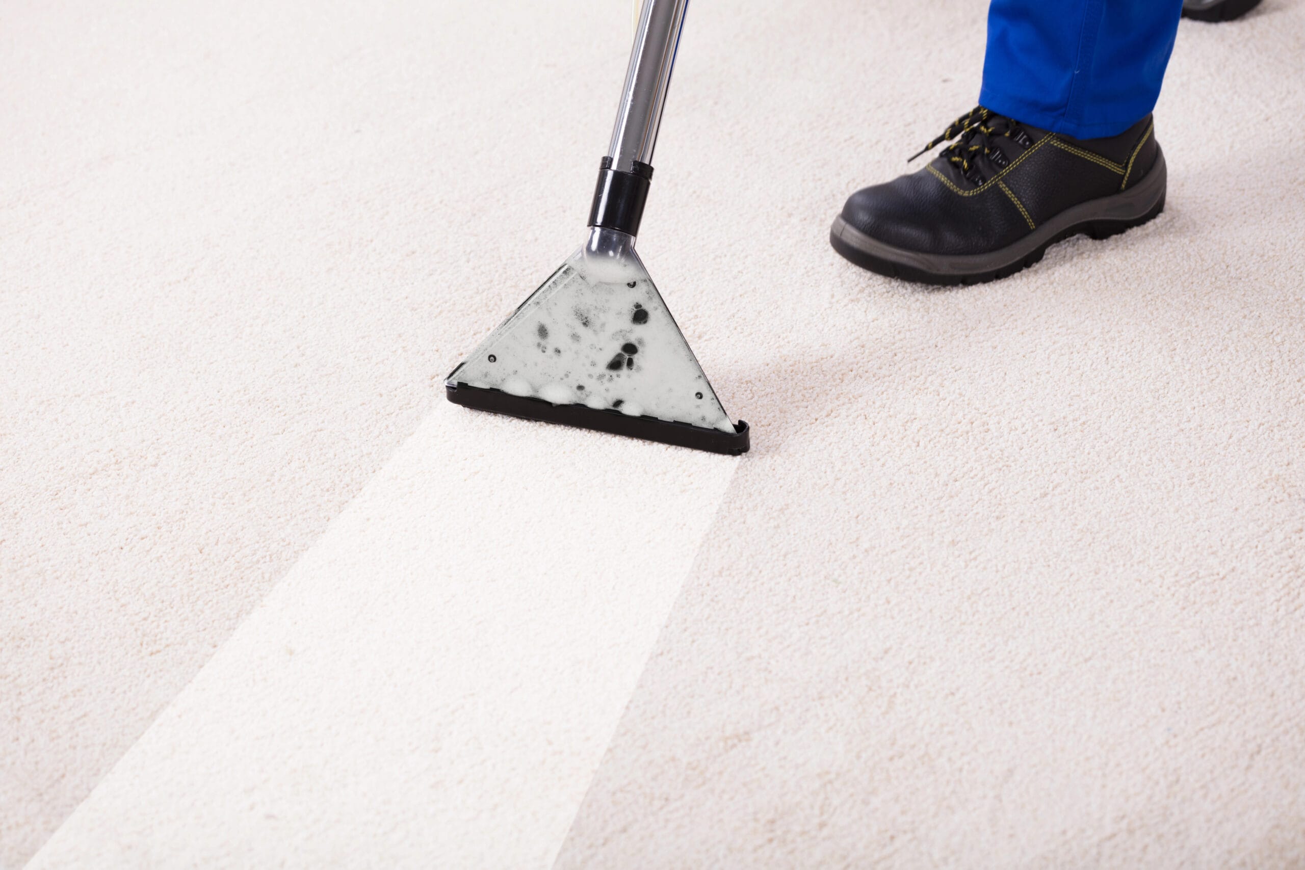 carpet cleaning