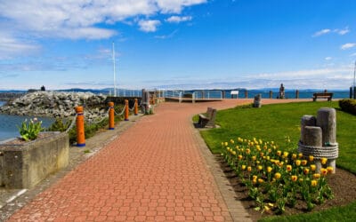 Beach Drive Salt Dust: Managing Salt Air Damage In South Oak Bay Commercial Properties